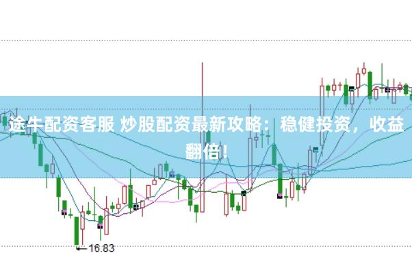 途牛配资客服 炒股配资最新攻略：稳健投资，收益翻倍！