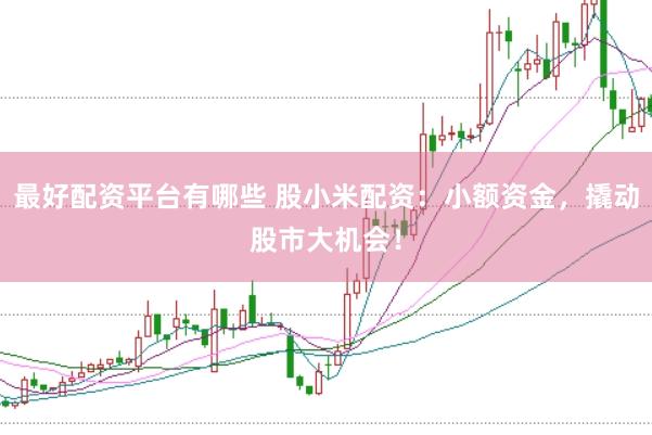 最好配资平台有哪些 股小米配资：小额资金，撬动股市大机会！