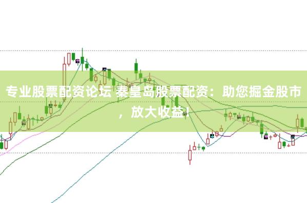专业股票配资论坛 秦皇岛股票配资：助您掘金股市，放大收益！