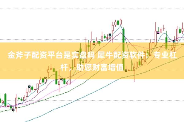 金斧子配资平台是实盘吗 犀牛配资软件：专业杠杆，助您财富增值