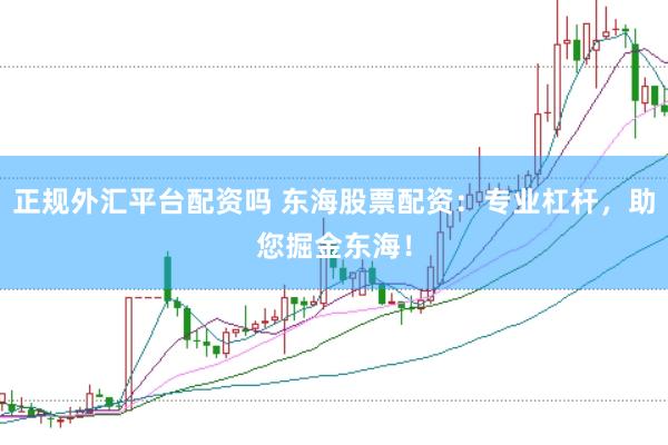 正规外汇平台配资吗 东海股票配资：专业杠杆，助您掘金东海！
