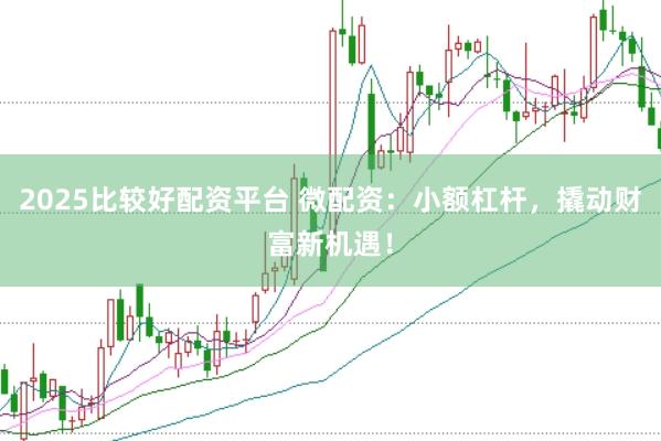 2025比较好配资平台 微配资：小额杠杆，撬动财富新机遇！