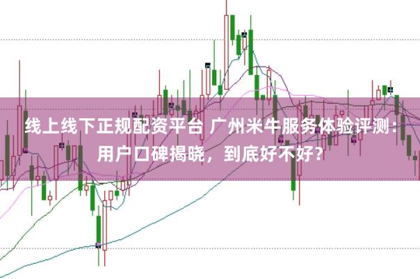 线上线下正规配资平台 广州米牛服务体验评测：用户口碑揭晓，到底好不好？