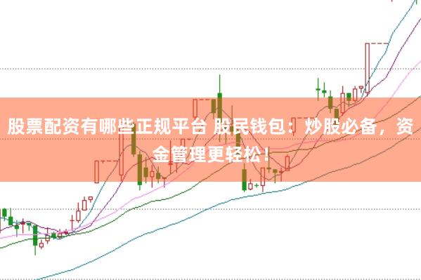 股票配资有哪些正规平台 股民钱包：炒股必备，资金管理更轻松！