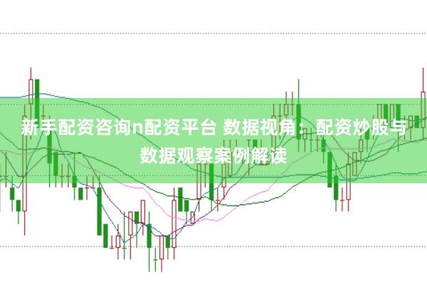 新手配资咨询n配资平台 数据视角：配资炒股与数据观察案例解读