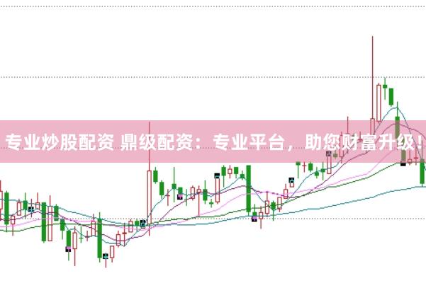 专业炒股配资 鼎级配资：专业平台，助您财富升级！