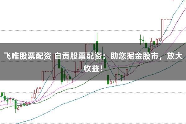 飞唯股票配资 自贡股票配资：助您掘金股市，放大收益！