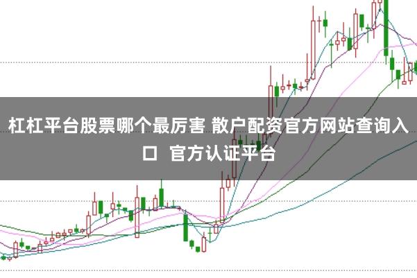 杠杠平台股票哪个最厉害 散户配资官方网站查询入口  官方认证平台