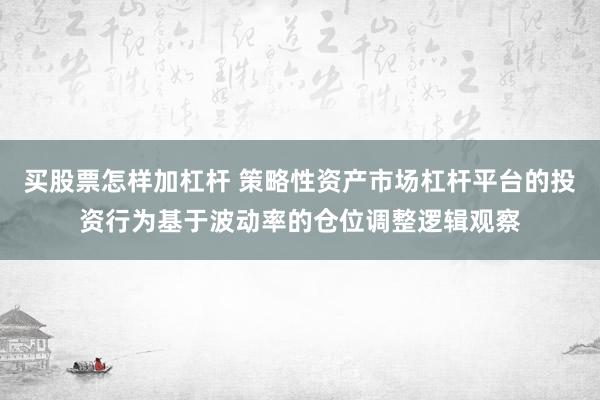 买股票怎样加杠杆 策略性资产市场杠杆平台的投资行为基于波动率的仓位调整逻辑观察