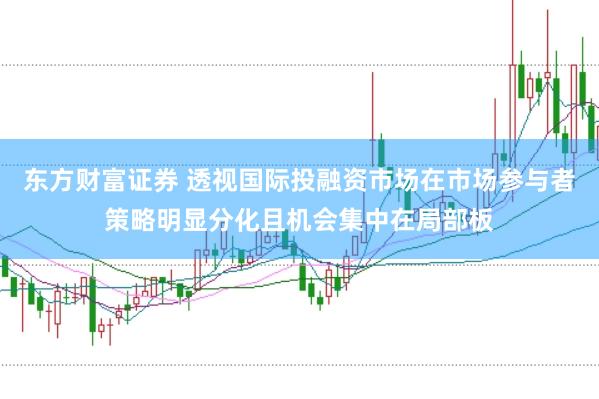 东方财富证券 透视国际投融资市场在市场参与者策略明显分化且机会集中在局部板