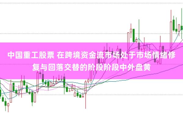中国重工股票 在跨境资金流市场处于市场情绪修复与回落交替的阶段阶段中外盘黄
