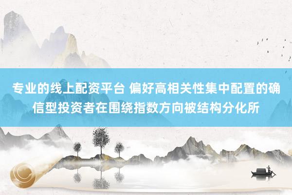 专业的线上配资平台 偏好高相关性集中配置的确信型投资者在围绕指数方向被结构分化所