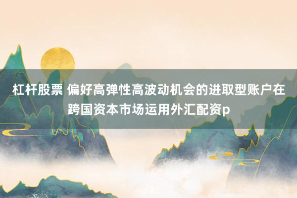杠杆股票 偏好高弹性高波动机会的进取型账户在跨国资本市场运用外汇配资p