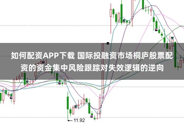 如何配资APP下载 国际投融资市场桐庐股票配资的资金集中风险跟踪对失效逻辑的逆向