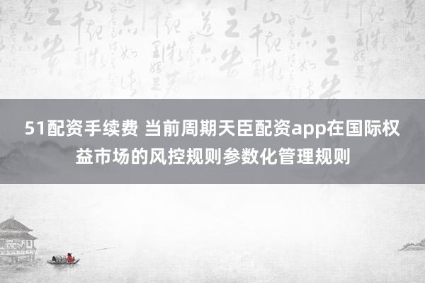 51配资手续费 当前周期天臣配资app在国际权益市场的风控规则参数化管理规则