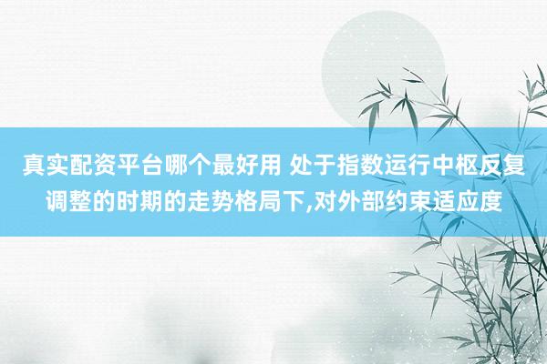 真实配资平台哪个最好用 处于指数运行中枢反复调整的时期的走势格局下，对外部约束适应度