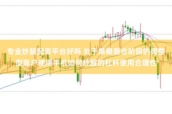专业炒股配资平台好吗 处于策略磨合阶段的调整型账户使用手机如何炒股的杠杆使用合理性