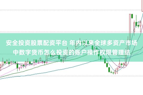 安全投资股票配资平台 年内以来全球多资产市场中数字货币怎么投资的账户操作权限管理结