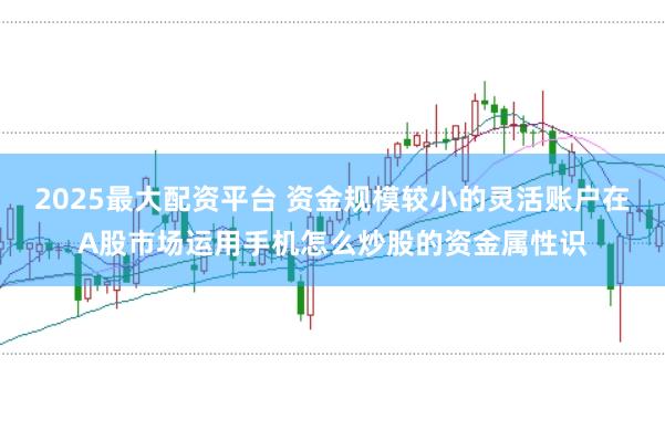 2025最大配资平台 资金规模较小的灵活账户在A股市场运用手机怎么炒股的资金属性识